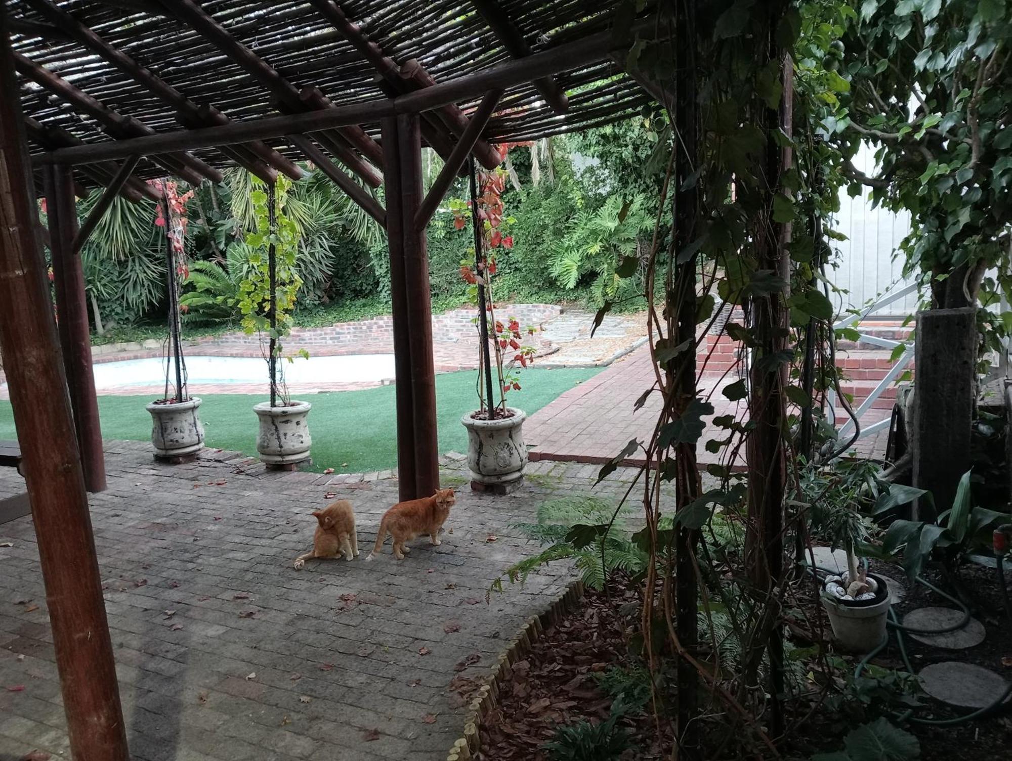 Marinda'S B&B Cape Town Exterior photo